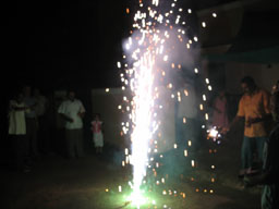 Diwali Celebration